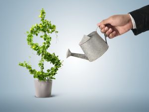 grow your business